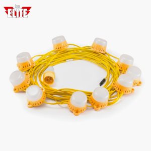 LED Festoon Lights